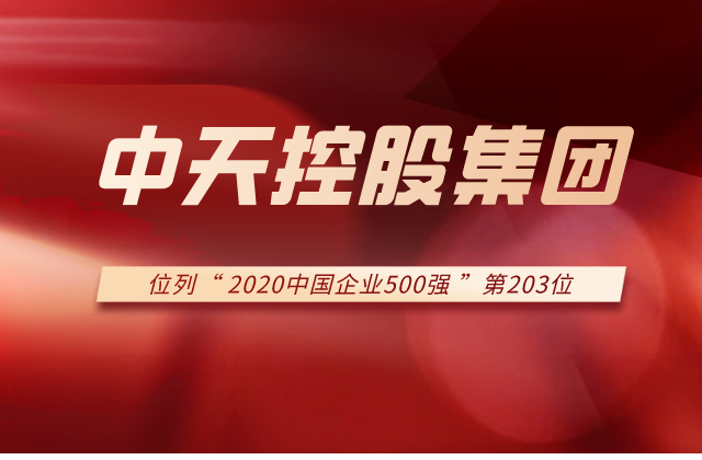 EZPay集团列2020中国企业500强第203位！